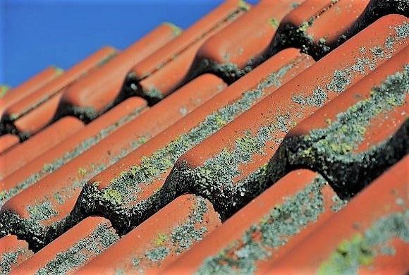 The Best Roof Restoration Services Brisbane - 5 Star Roofs